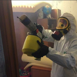Уничтожение клопов в квартире. Тихвин